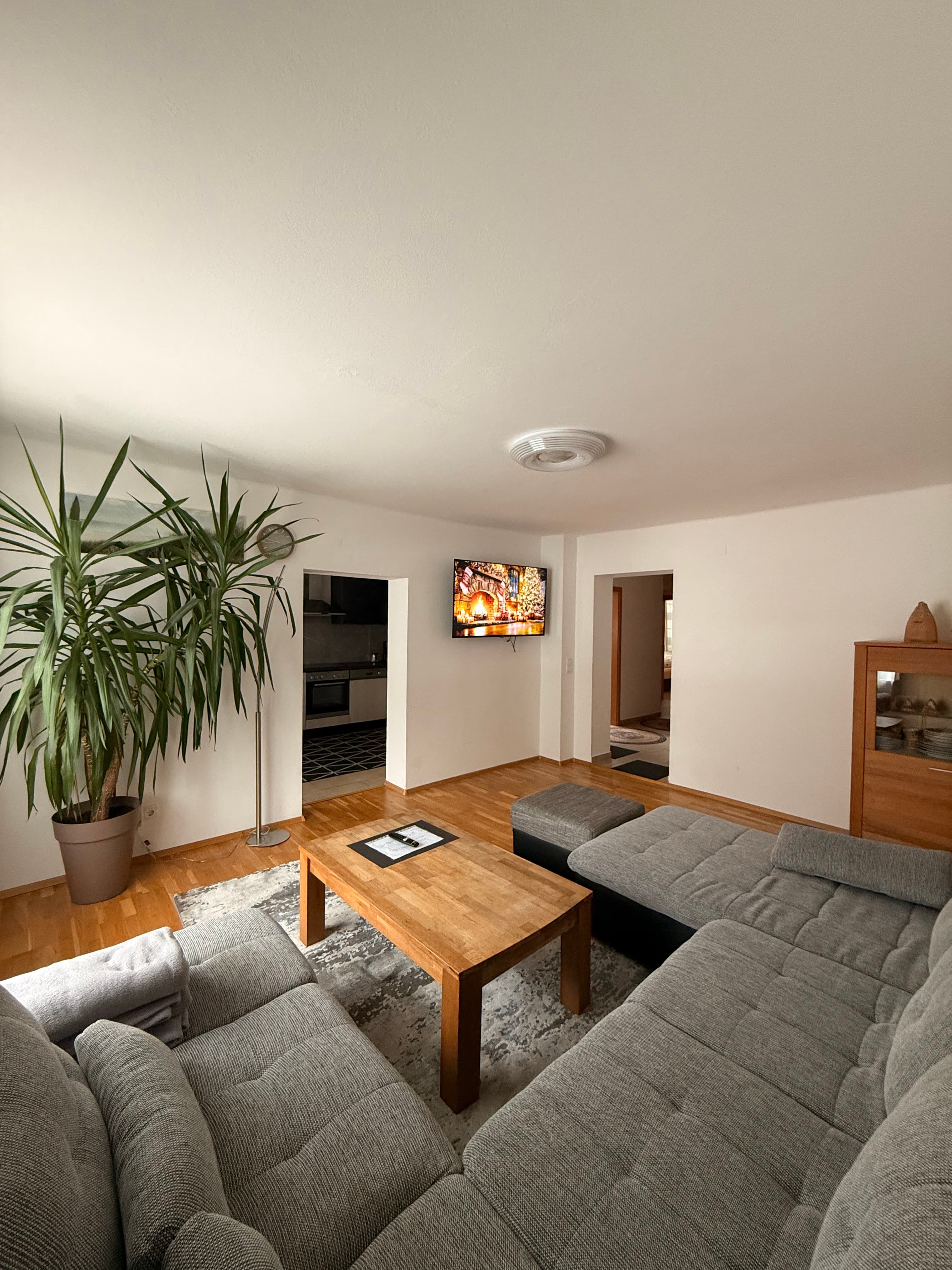 Apartment view 1