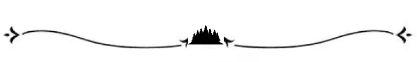 Section Background